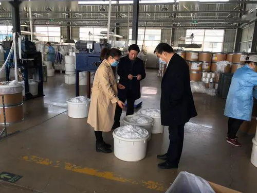 人大代表助力企業疫路小跑，板湖鎮技術交流促發展